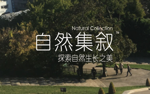 丽芳园林将携全新品牌“自然集叙”亮相深圳环境与景观展会
