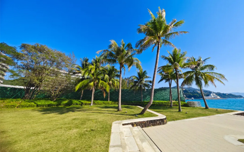 丽芳园林案例 | 深圳中信金沙湾，以专业养护共筑山海理想