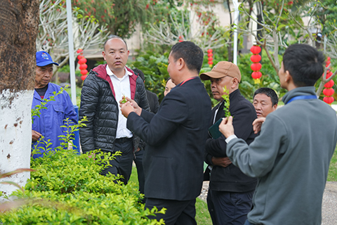 丽芳园林技术专家组：匠心巡检，为品质护航