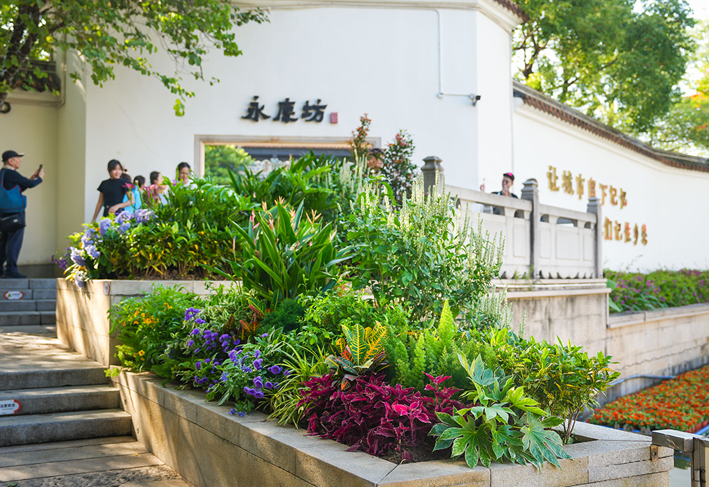 广州永庆坊旅游区——花境设计