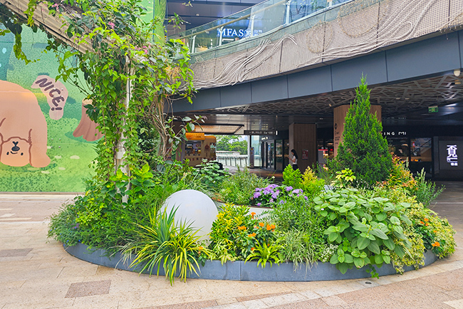 商场绿植造景——深圳方大城