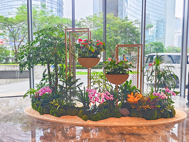 侨鑫国际金融中心绿化养护与绿植造景