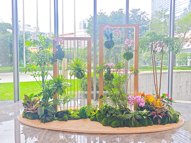 侨鑫国际金融中心绿化养护与绿植造景